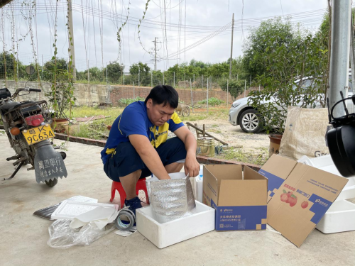 “畅流通贡献奖”的背后:邦快递全心全意为广东荔枝保驾护航_互资讯频道(图2) “畅流通贡献奖”的背后:邦快递全心全意为广东荔枝保驾护航_互资讯频道(图2)