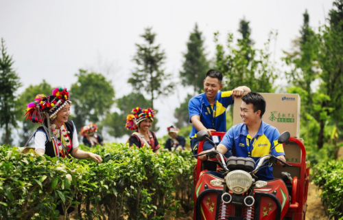 “畅流通贡献奖”的背后:邦快递全心全意为广东荔枝保驾护航_互资讯频道(图3) “畅流通贡献奖”的背后:邦快递全心全意为广东荔枝保驾护航_互资讯频道(图3)